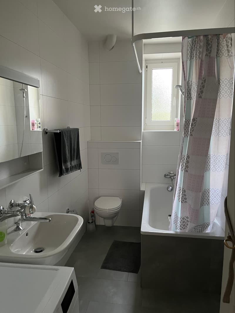 Appartement 4 pièces rénové au centre de Colombier (4)