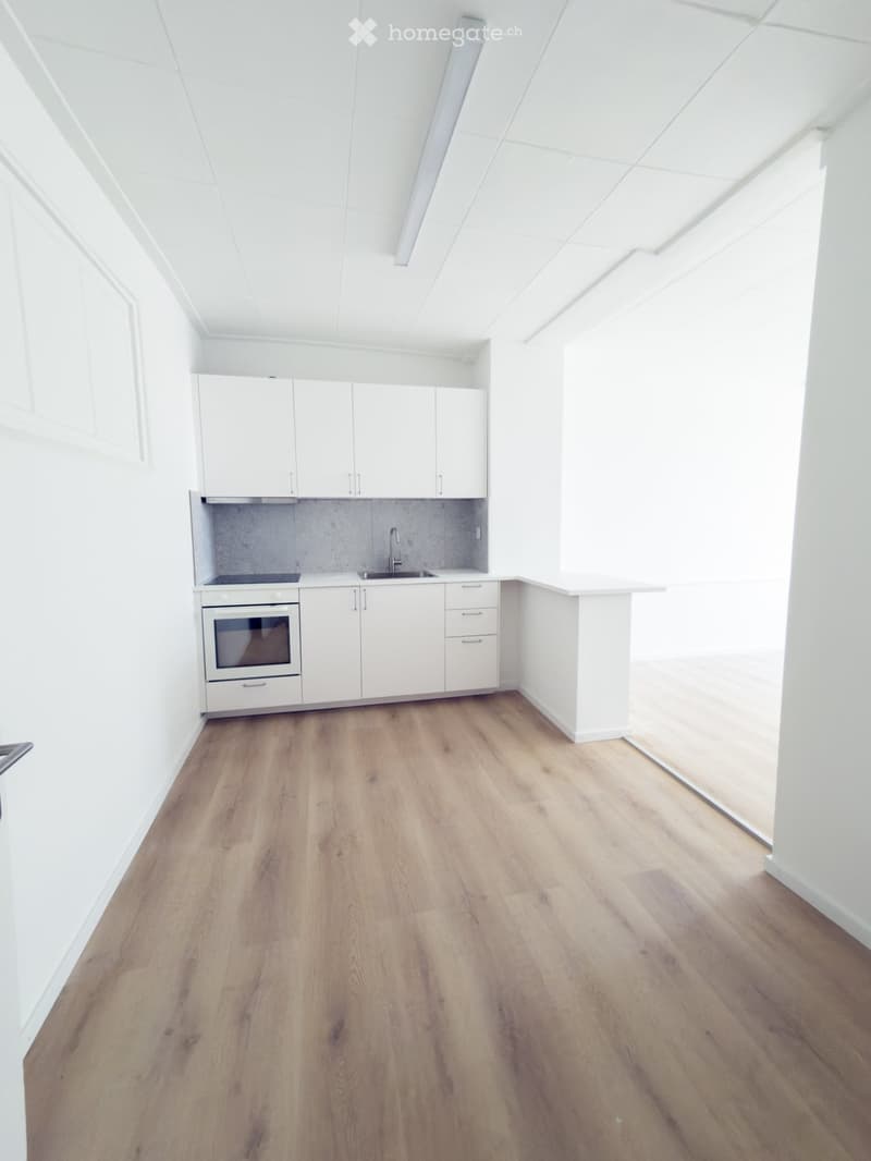 Appartements libre de suite // Wohnungen ab sofort verfügbar (3)