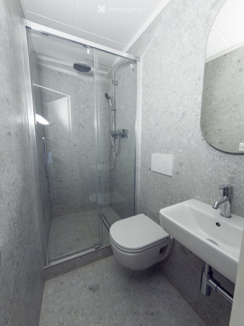 Appartements libre de suite // Wohnungen ab sofort verfügbar (4)