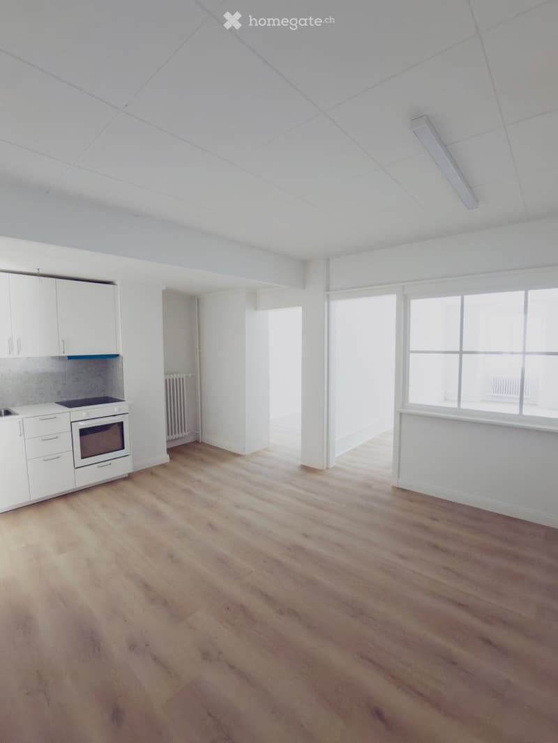 Appartements libre de suite // Wohnungen ab sofort verfügbar (1)