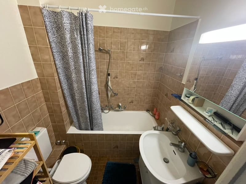 Joli 2,5 pièces à Servette  balcon vue parc, au calme (3)