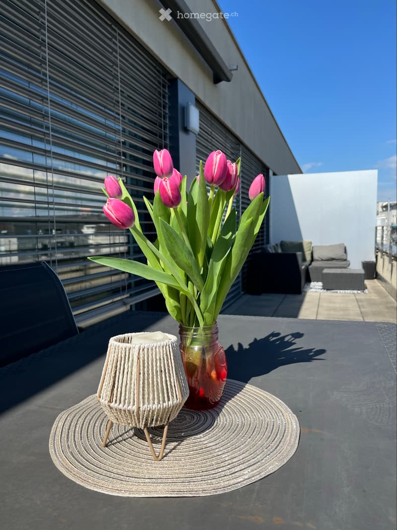 Apparemment 2.5 pièces à Morges (5)