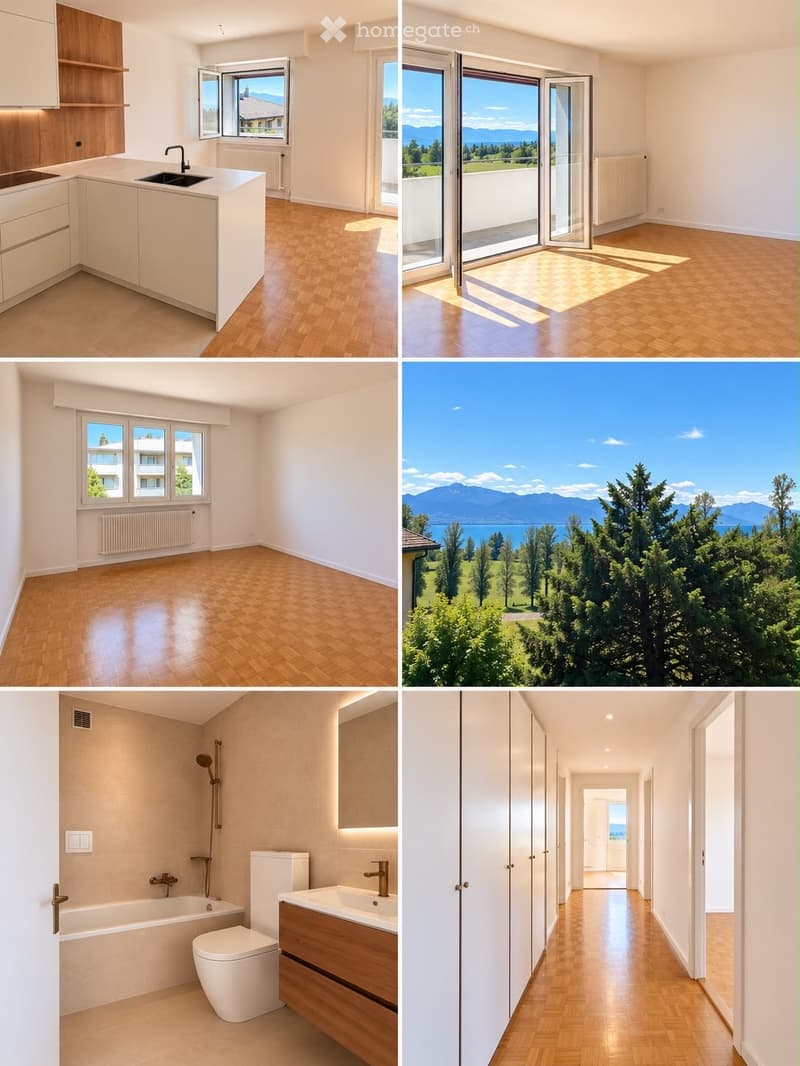 Appartement à 5 m du lac avec vue imprenable (1)