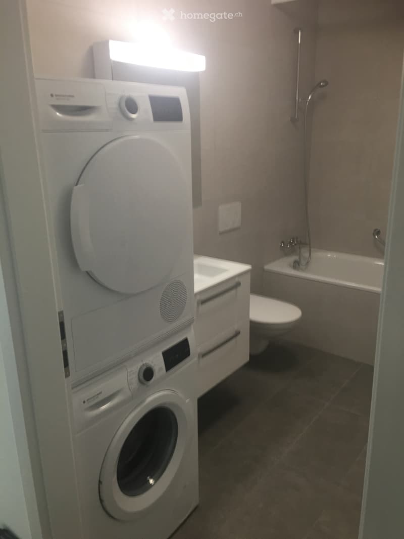 A louer très joli appartement à Crissier (5)