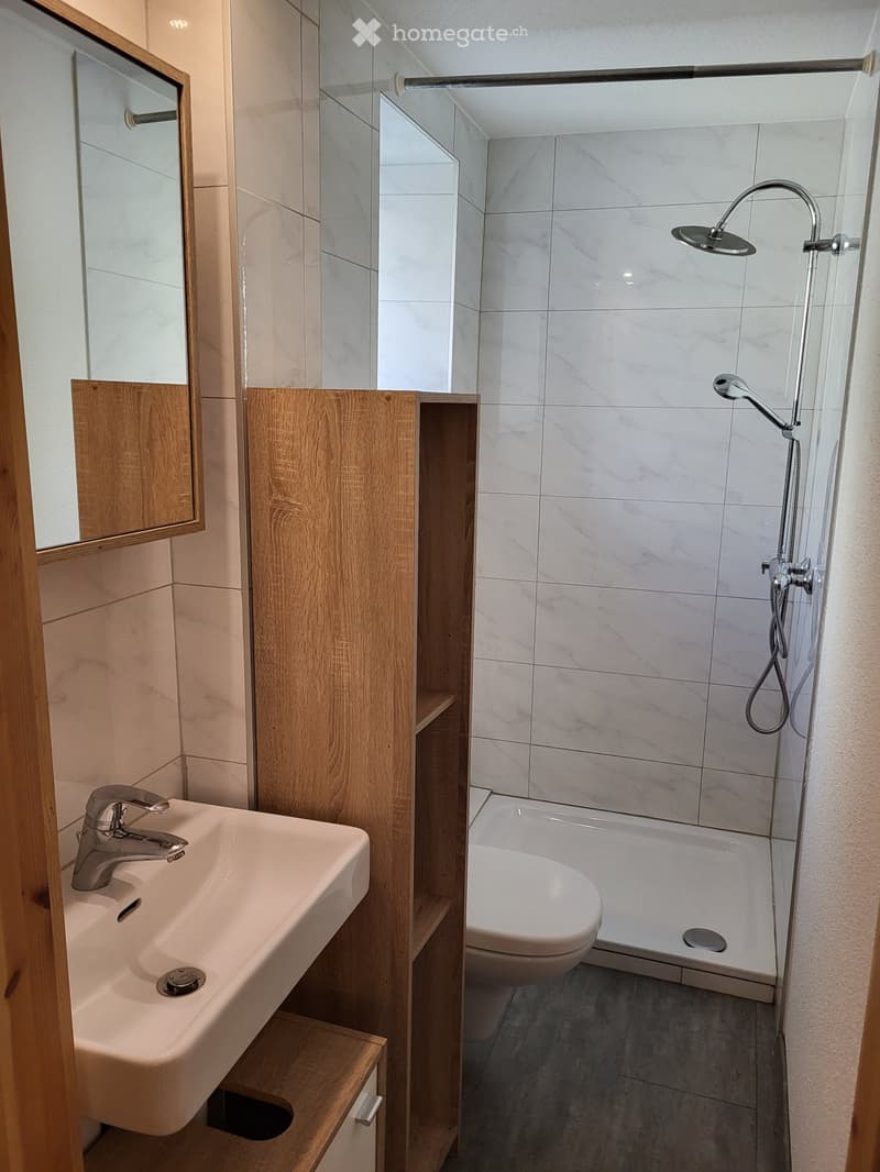 2,5 pcs, 50m2, 1200 CHF, 1.01.2027 (2)