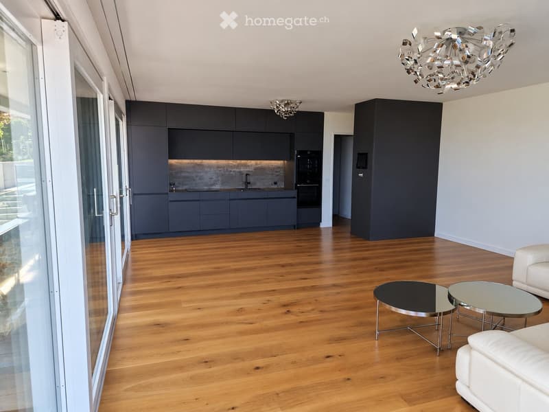 Stunning lake & mountain views modern apartment in Horgen (3)