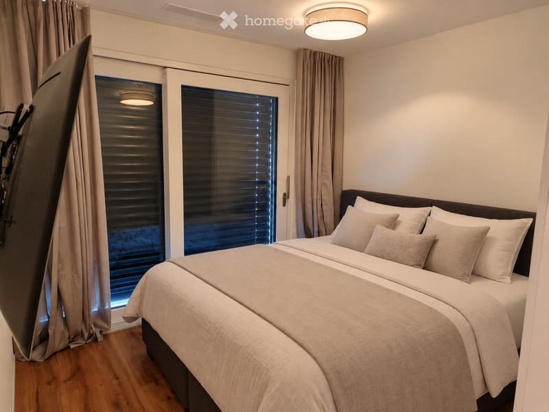 Stunning lake & mountain views modern apartment in Horgen (4)