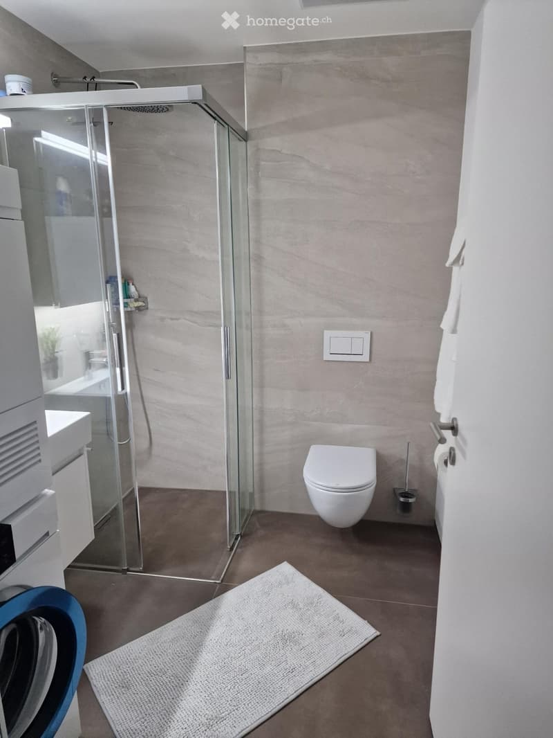 Stunning lake & mountain views modern apartment in Horgen (5)