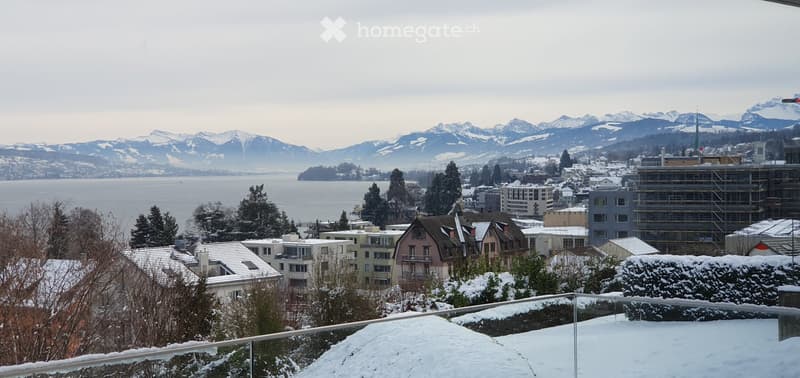 Stunning lake & mountain views modern apartment in Horgen (2)