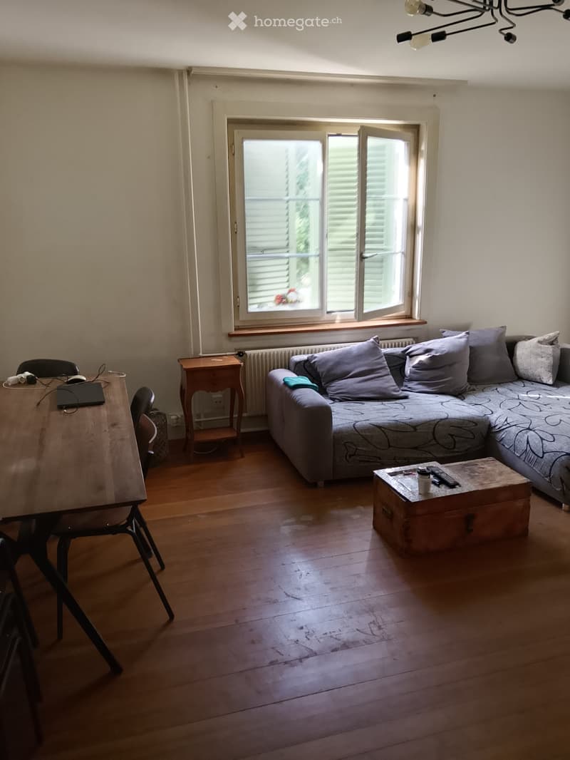 3 Zimmer Wohnung inkl. Mansarde Zimmer (1)