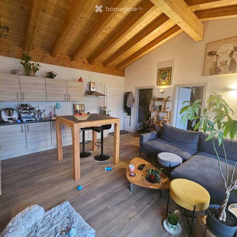 Appartement de 2 pièces avec vue sur les montagnes (1)
