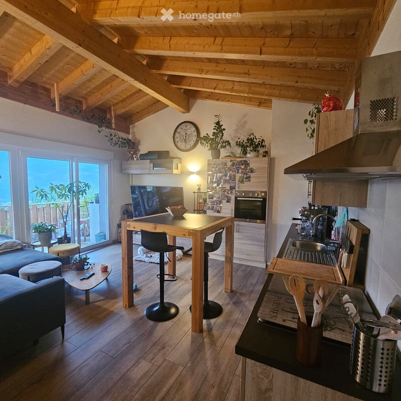 Appartement de 2 pièces avec vue sur les montagnes (2)