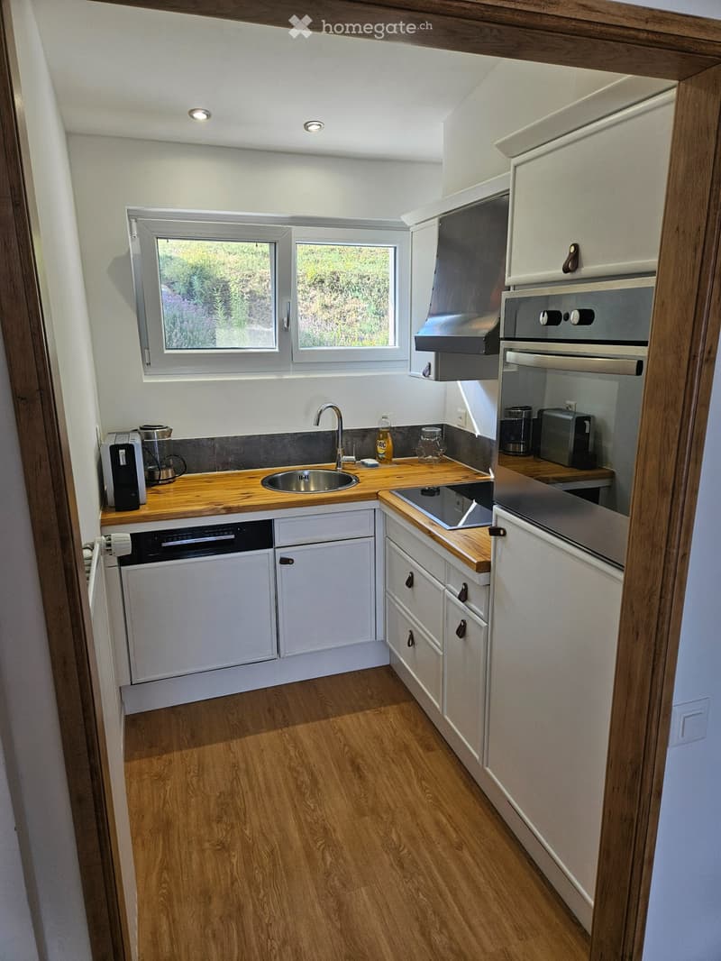 Appartement meublé -  Vue sur le Lac (4)