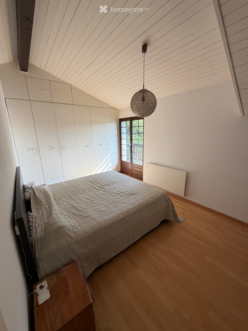 Charming 5-Room Semi-Detached House in Bellevue, Geneva (3)