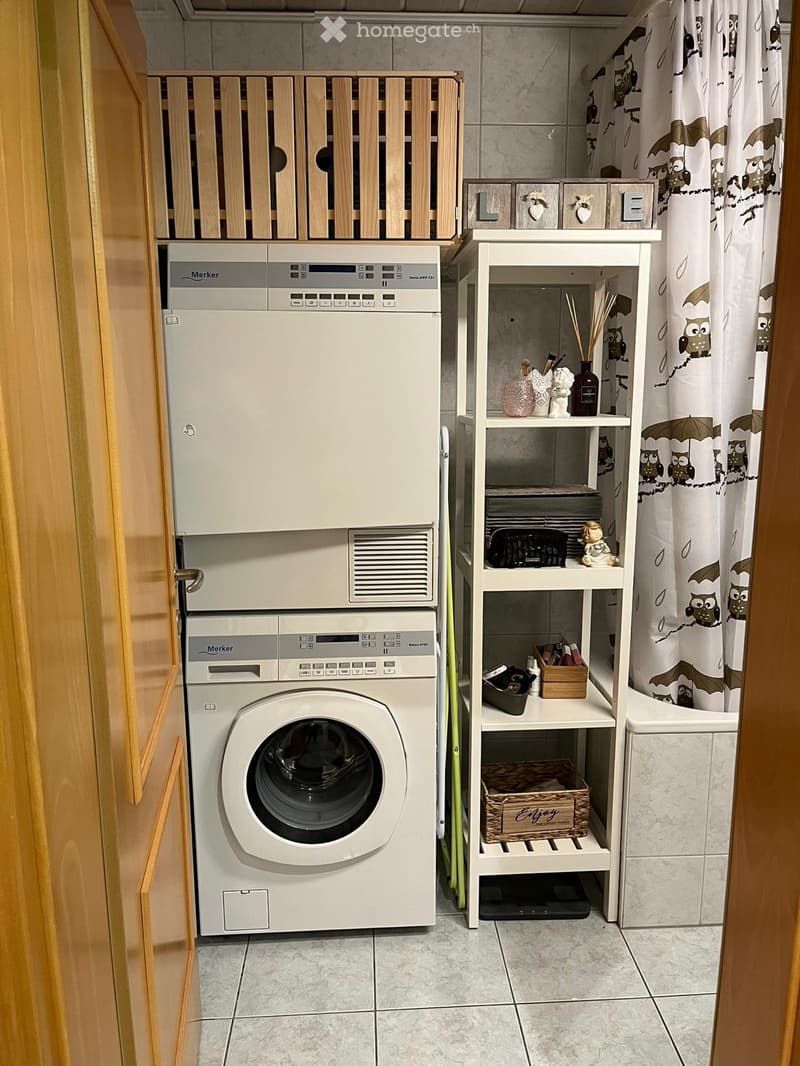 Geräumige & helle 2-Zimmer-Wohnung im Merlischachen (3)