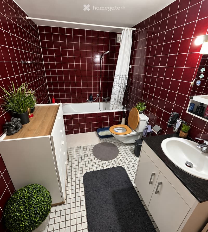 Studio spacieux de 45 m² à Romanel-sur-Lausanne (5)