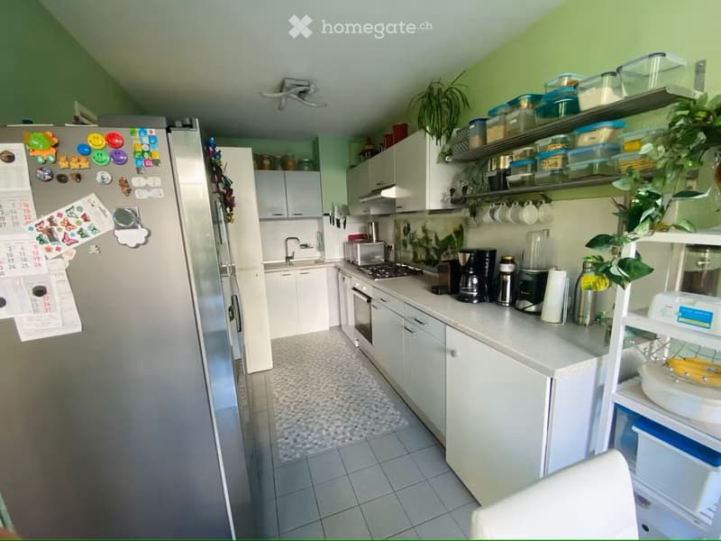Erdgeschoss wohnung 2-zimmer in Horgen (3)