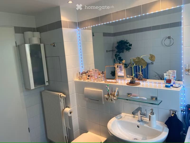 Erdgeschoss wohnung 2-zimmer in Horgen (5)