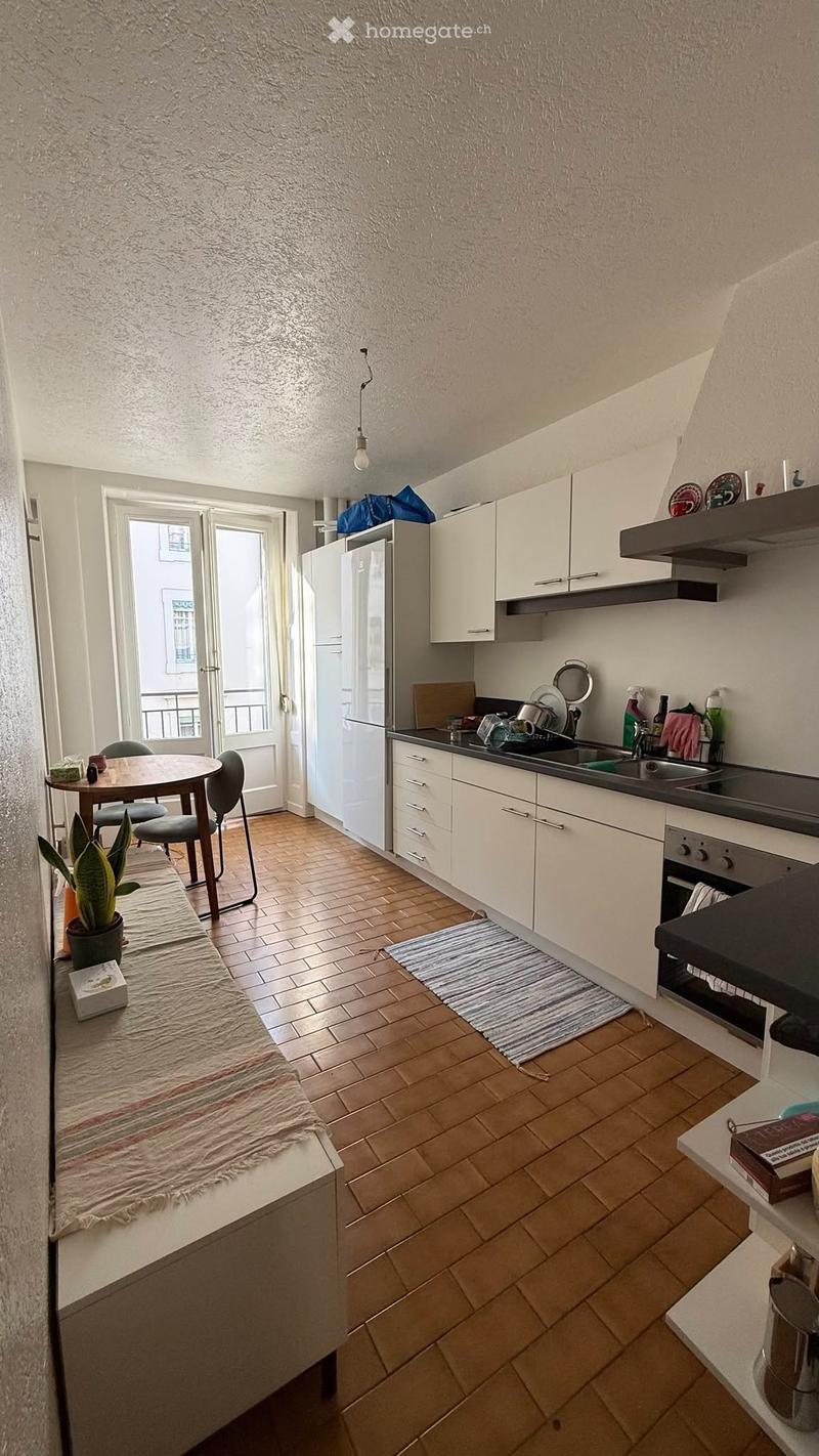 Superbe 3 pièces avec balcon - Entre plainpalais et Carouge (3)