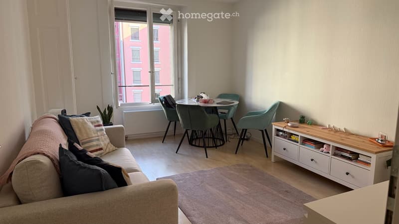 Superbe 3 pièces avec balcon - Entre plainpalais et Carouge (2)