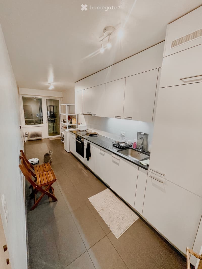 Appartement A Chenes-Bougeries (2)