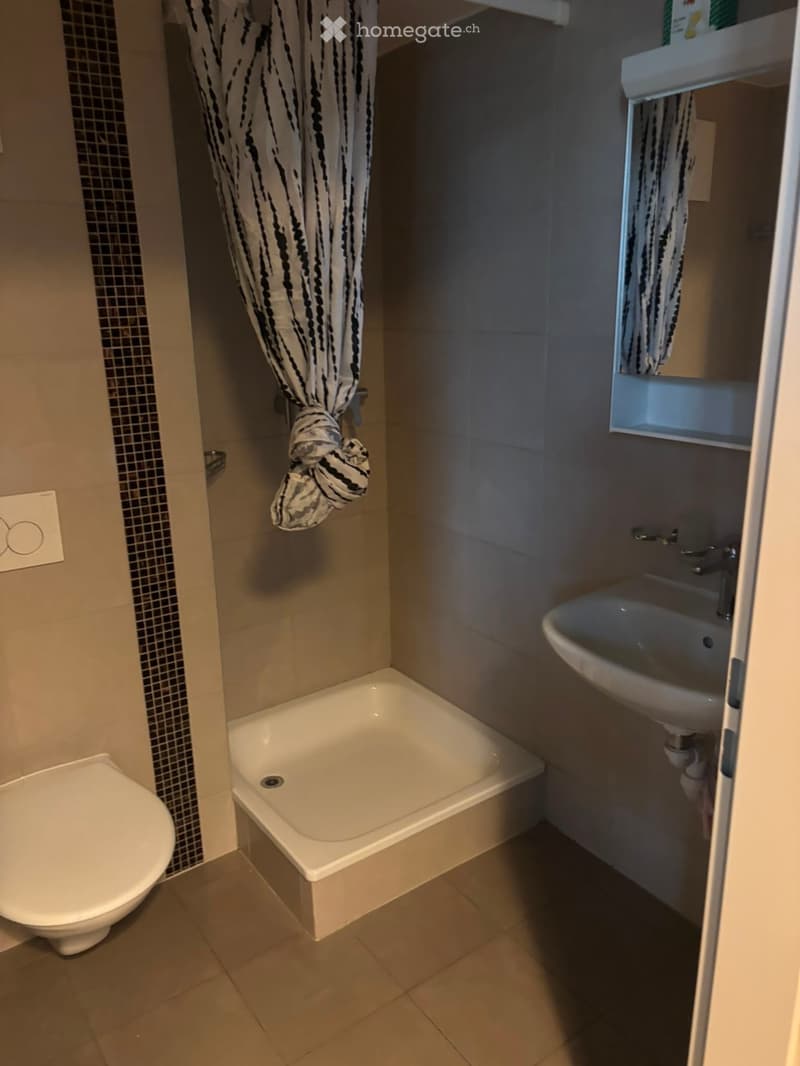 Location appartement Crissier (4)