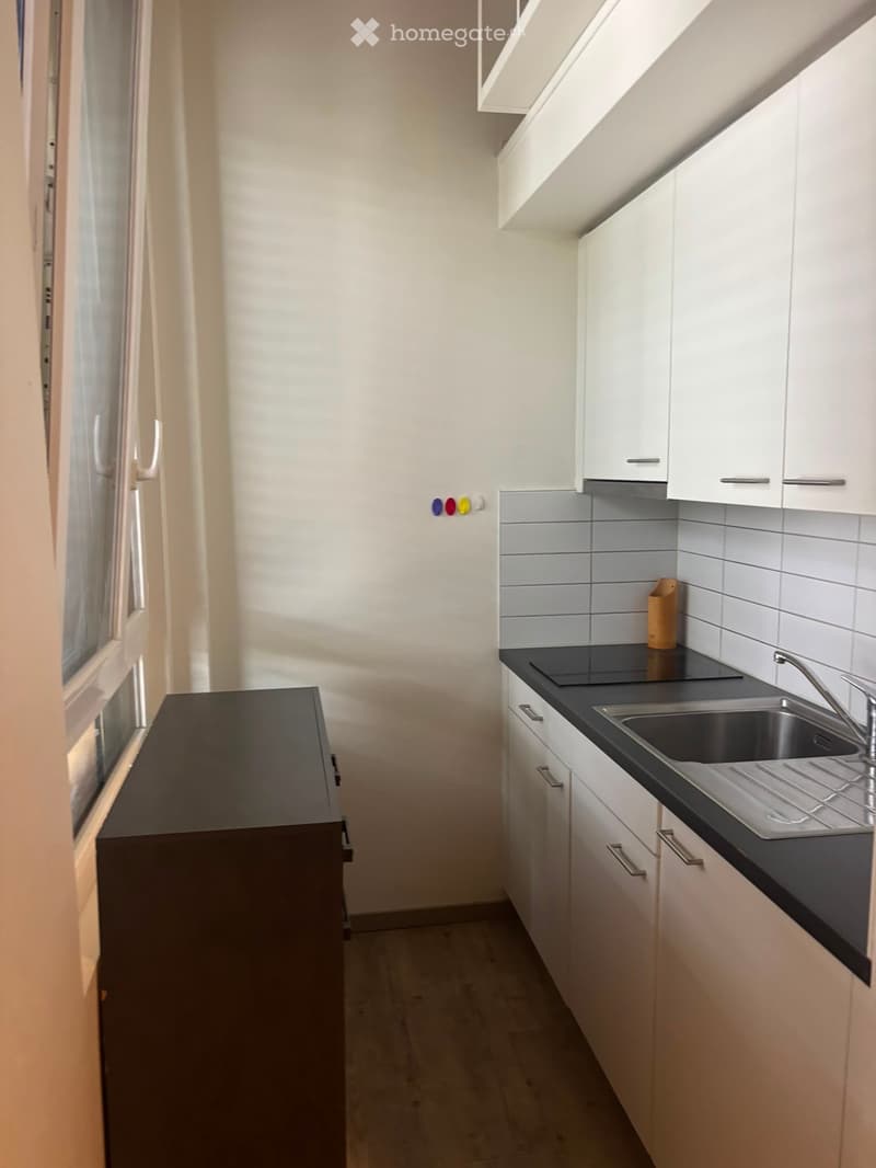 Location appartement Crissier (2)
