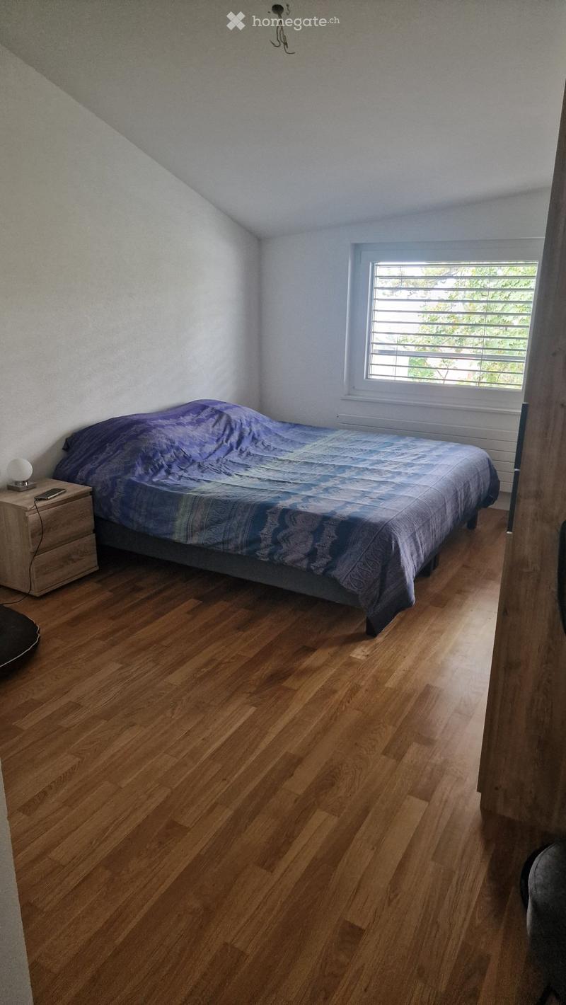 Appartement à louer 1er décembre (4)