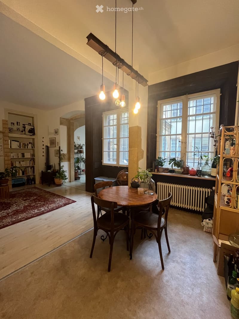 Magnifique appartement au centre-ville de Neuchâtel (4)