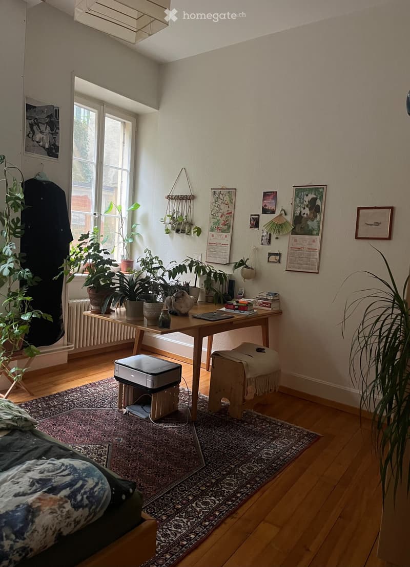 Magnifique appartement au centre-ville de Neuchâtel (3)