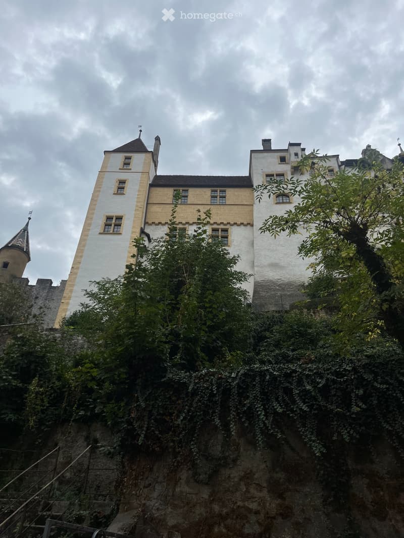 Magnifique appartement au centre-ville de Neuchâtel (5)
