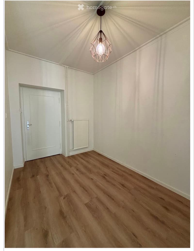 Magnifique appartement lumineux en plein centre-ville (5)