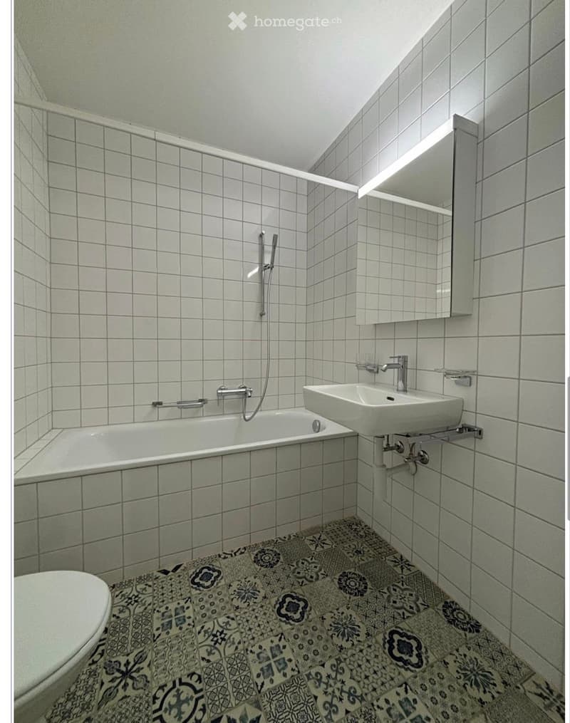 Magnifique appartement lumineux en plein centre-ville (4)