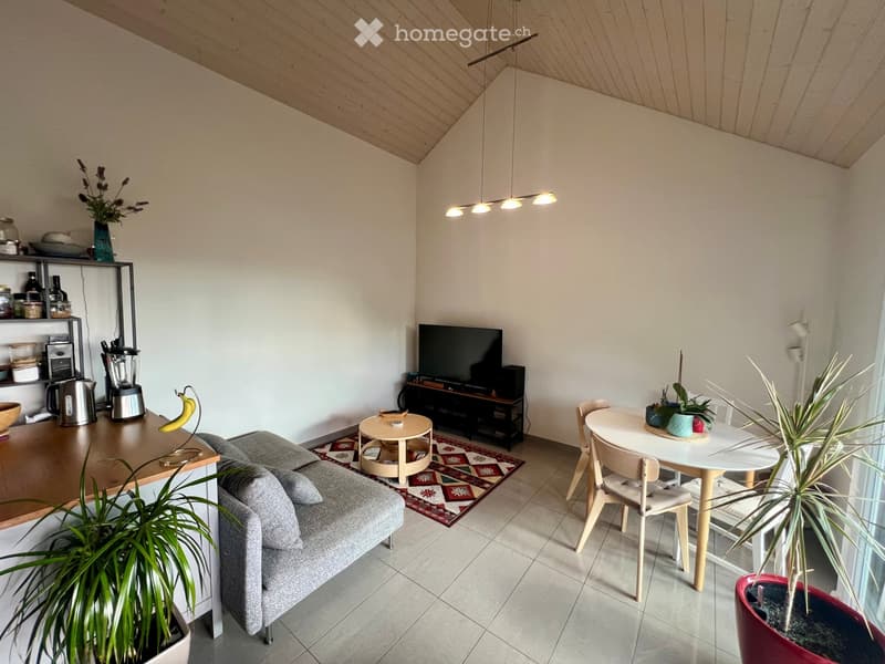 Appartement moderne de 3,5 pièces à Gilly (3)