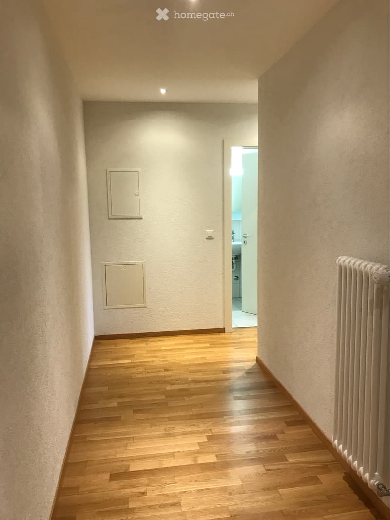 Très bel appartememt 3.5p à Vevey (5)