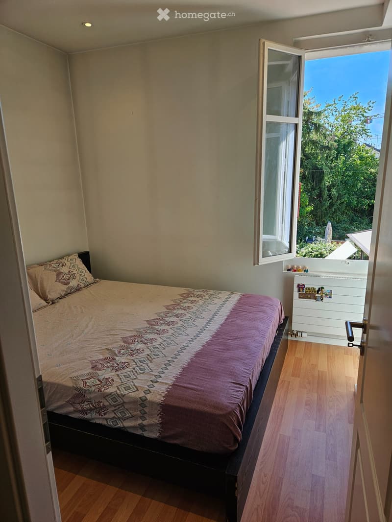 APARTMENT FOR RENT-Fully Furnished 2.5 Rooms in Versoix45m2 (4)