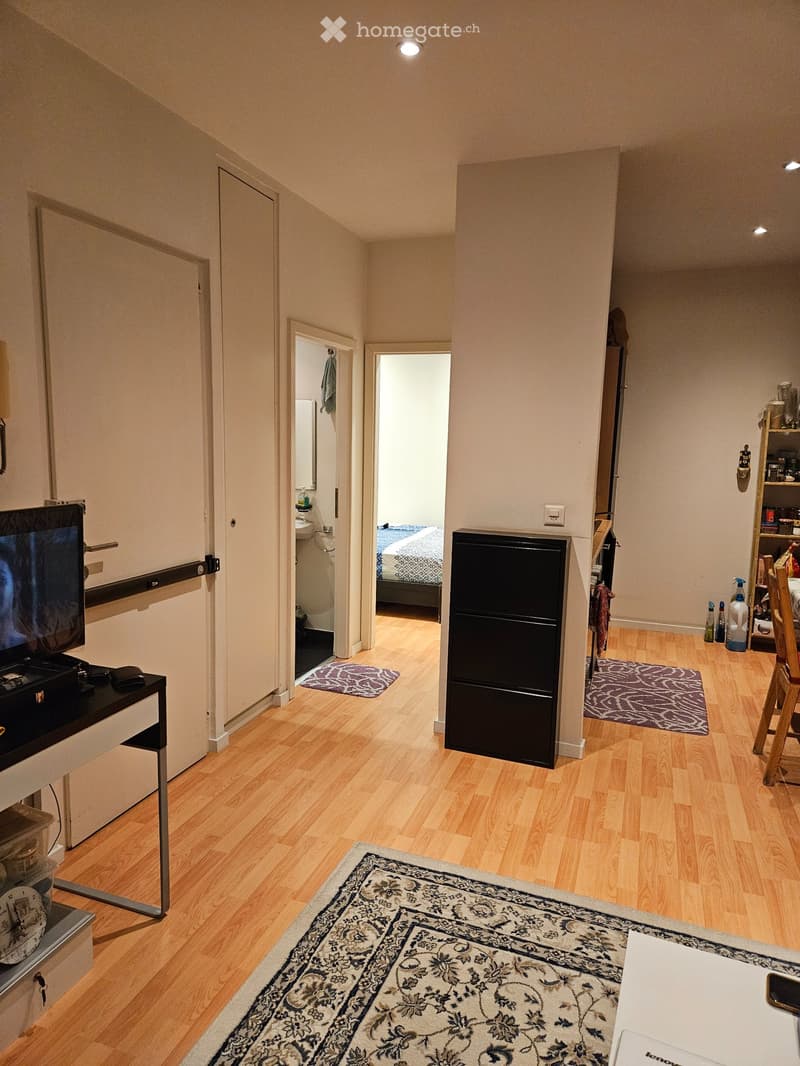 APARTMENT FOR RENT-Fully Furnished 2.5 Rooms in Versoix45m2 (5)