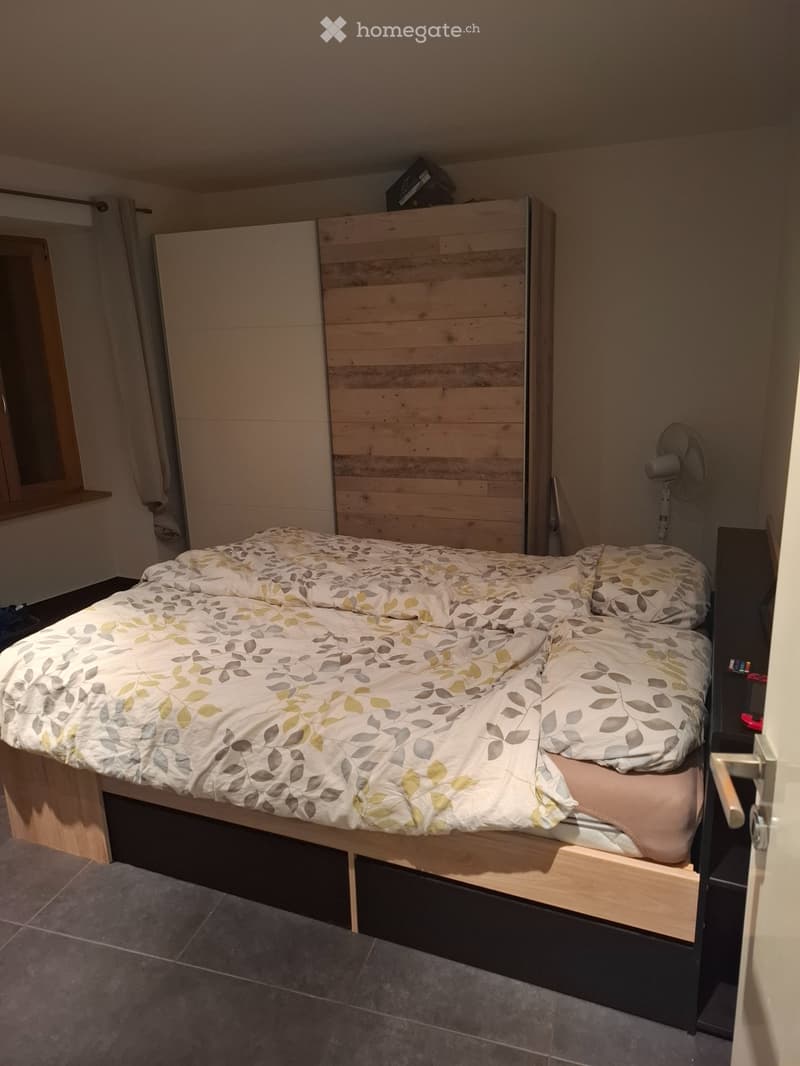 Appartement a louer vionnaz (5)
