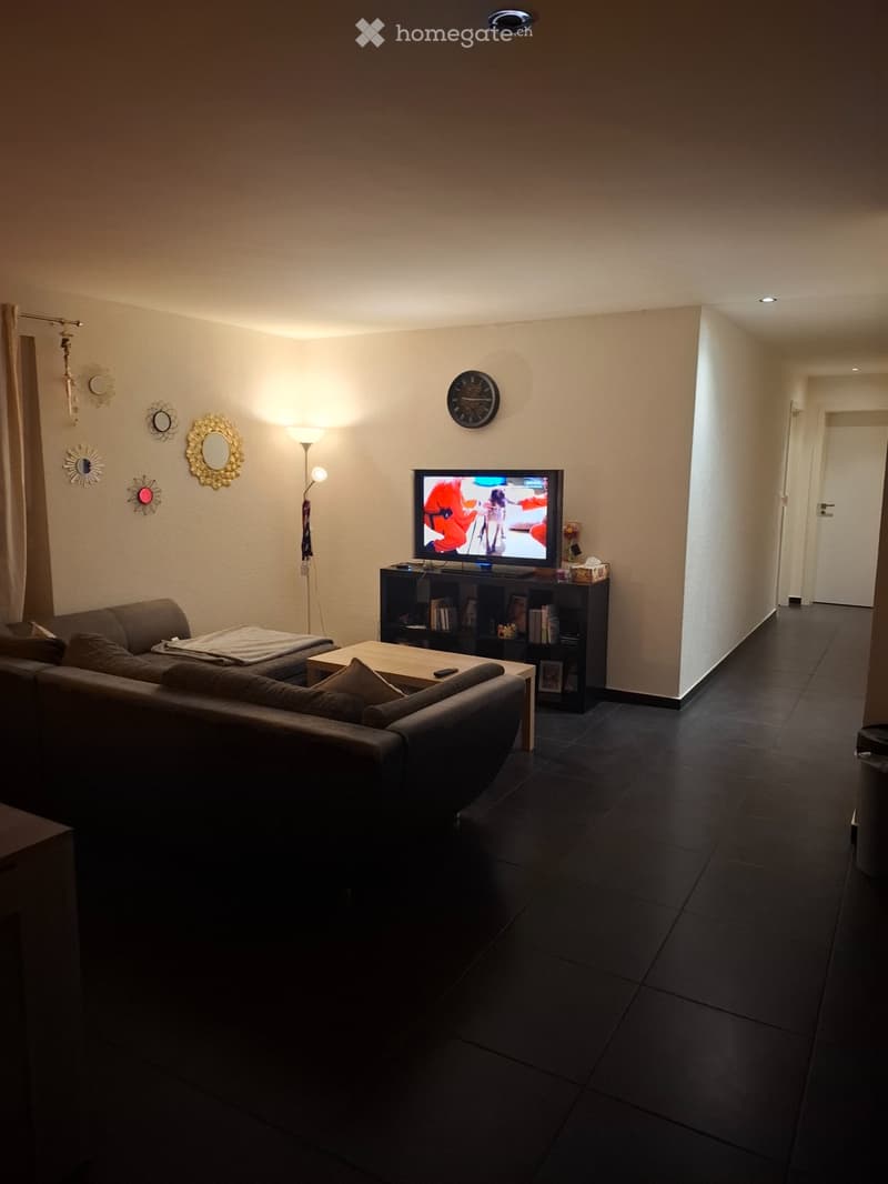 Appartement a louer vionnaz (3)