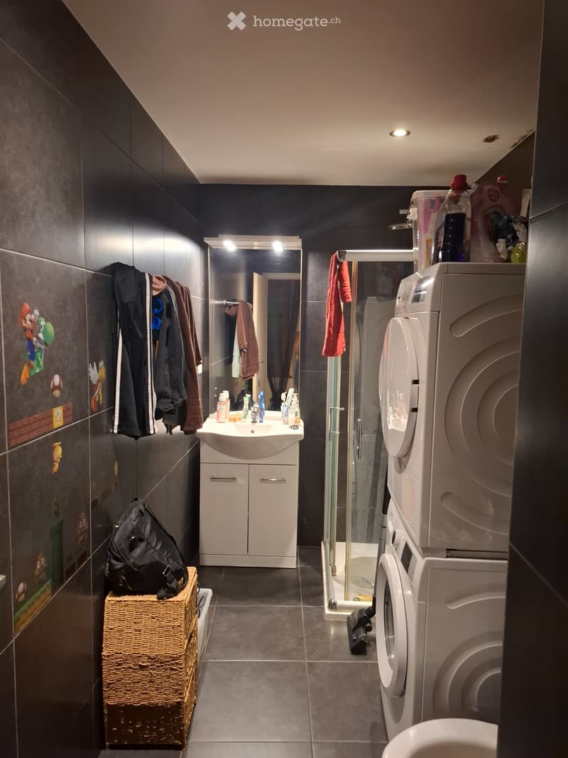 Appartement a louer vionnaz (4)