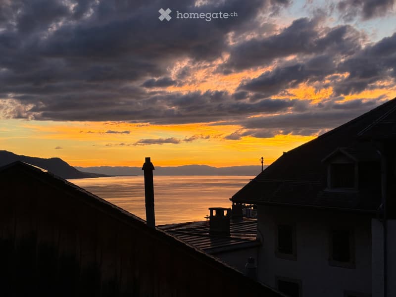 3 pièces Montreux/Pertit balcon, belle vue, quartier calme (1)