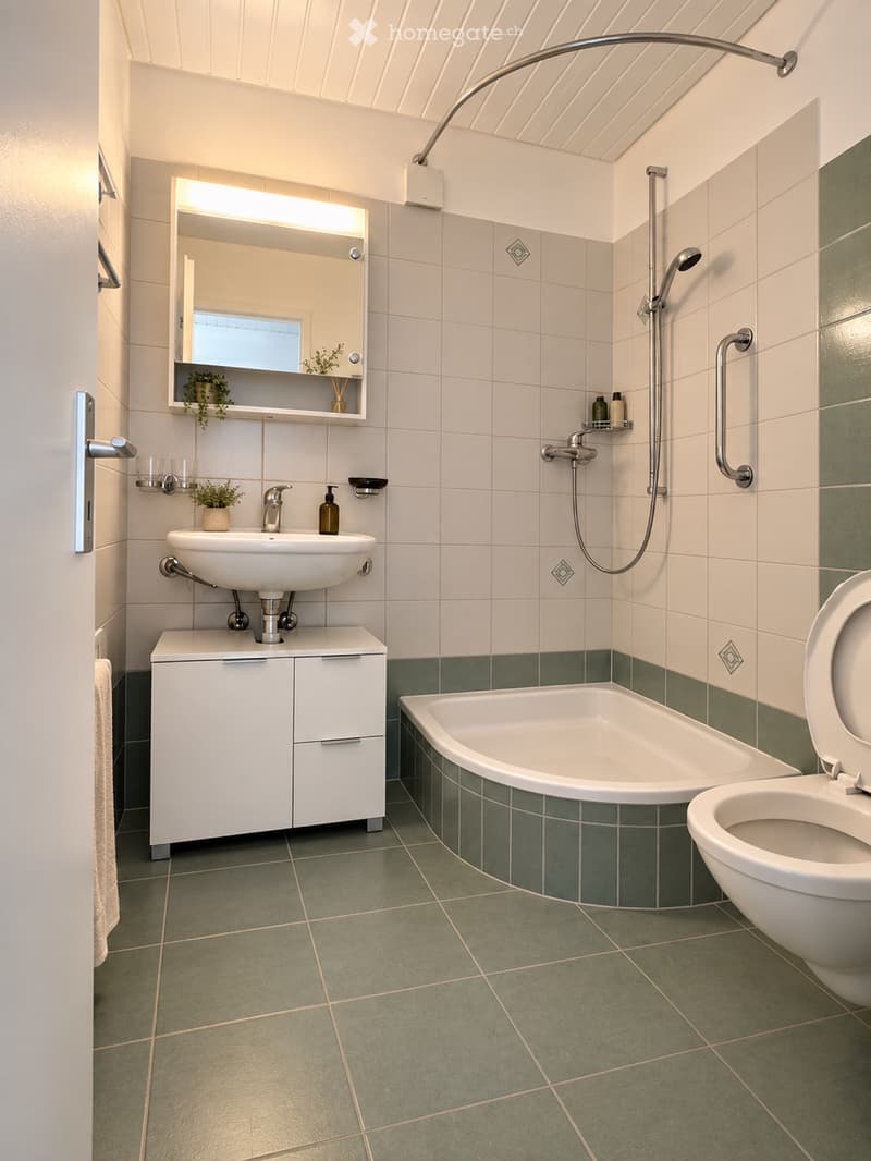 2.5 pces lumineux fraîchement rafraîchi avec balcon (4)