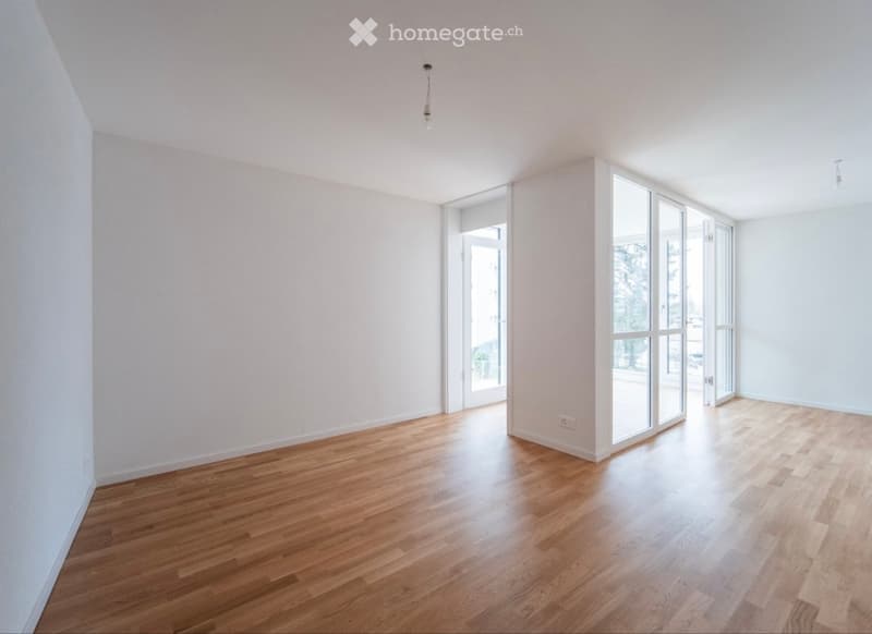 Magnifique appartement au centre de Fribourg (1)