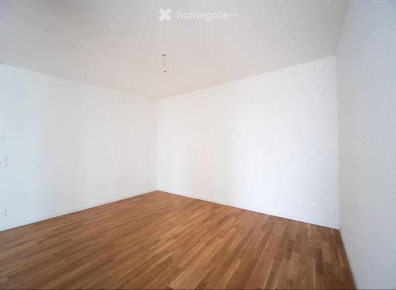 Magnifique appartement au centre de Fribourg (3)