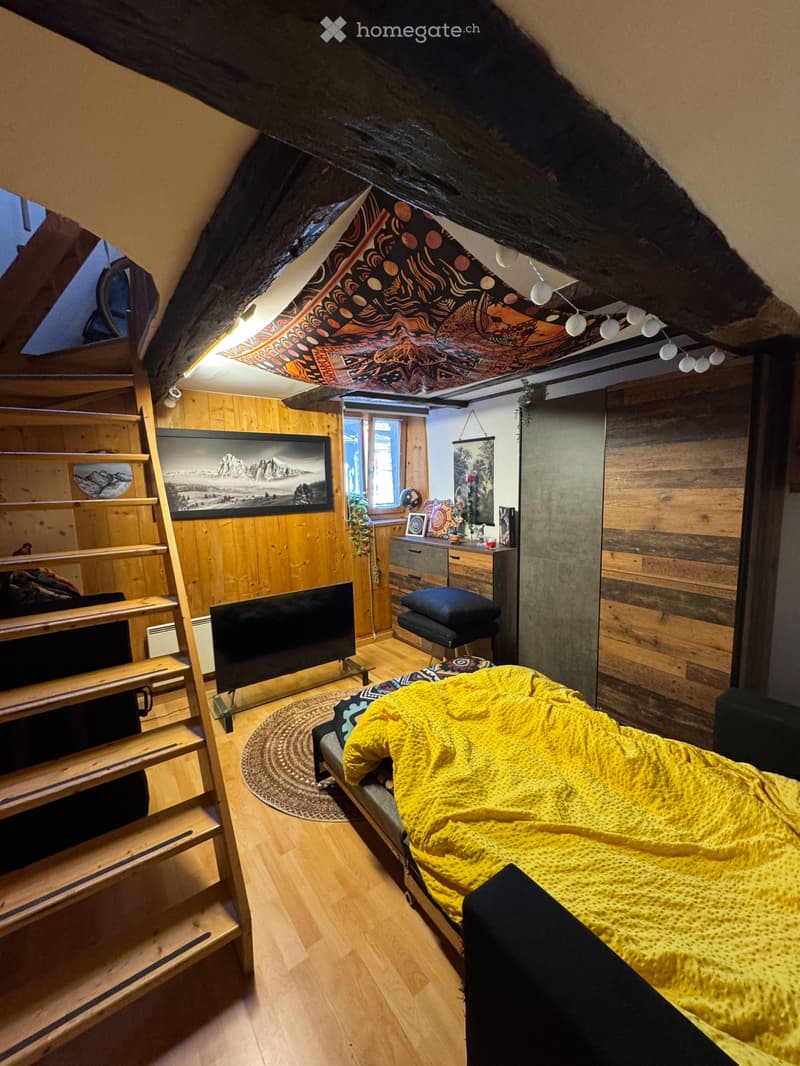 Mazot rénové de caractère Plan-Cerisier (3)