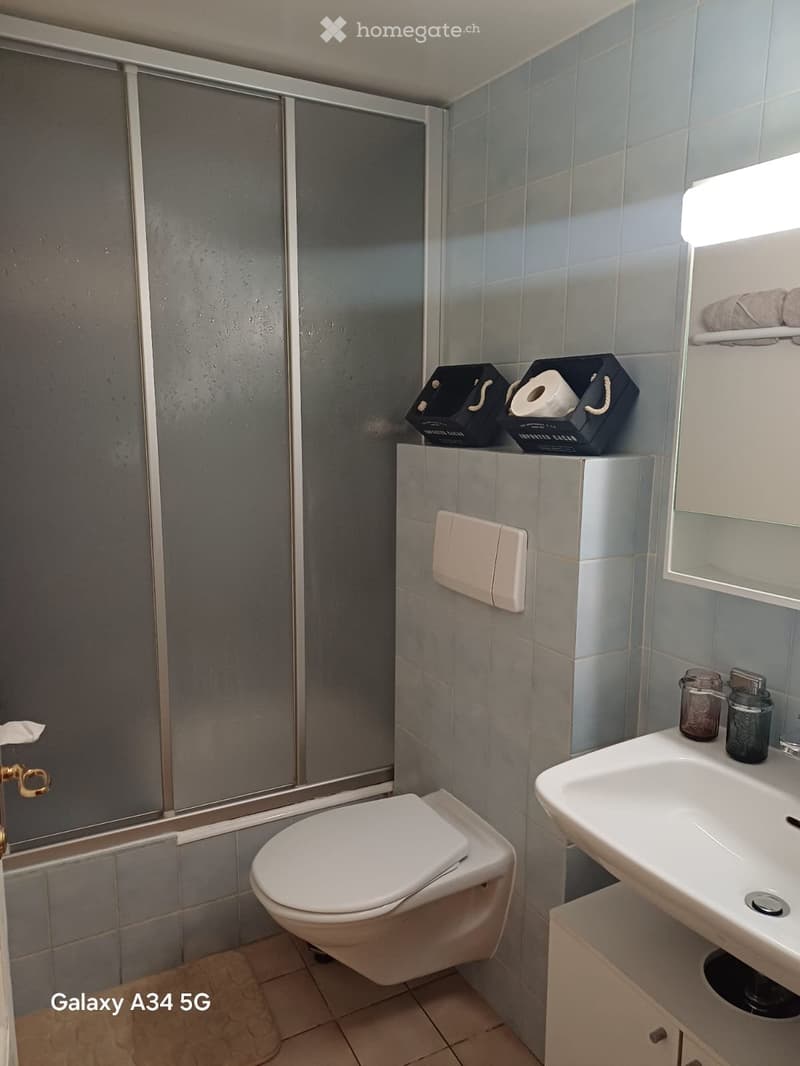 Studio location longue durée  Vieille-Ville de Genève (4)
