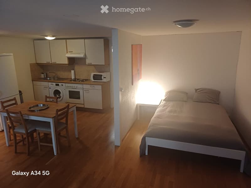 Studio location longue durée  Vieille-Ville de Genève (5)