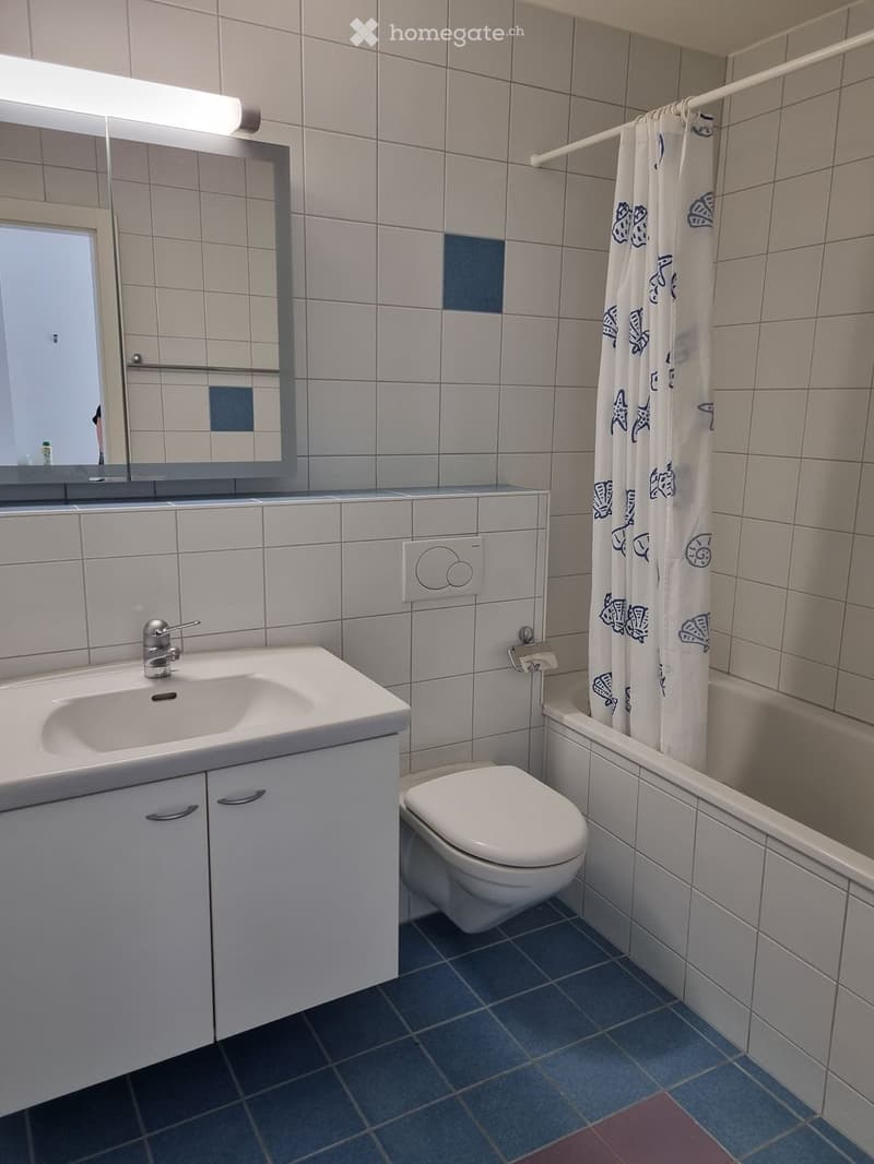 Appartement 2,5 pièces avec balcon  Sion (4)