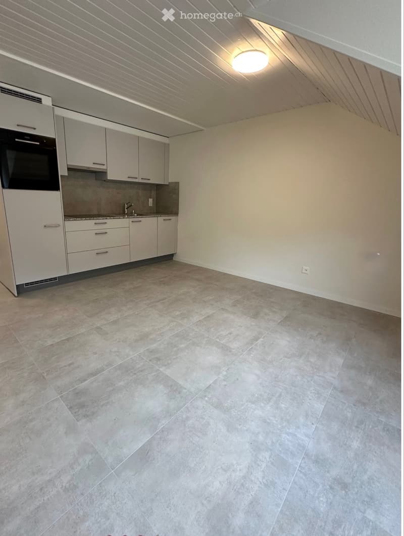 Reprise de Bail appartement duplex neuchatel 2.5 pièces (3)