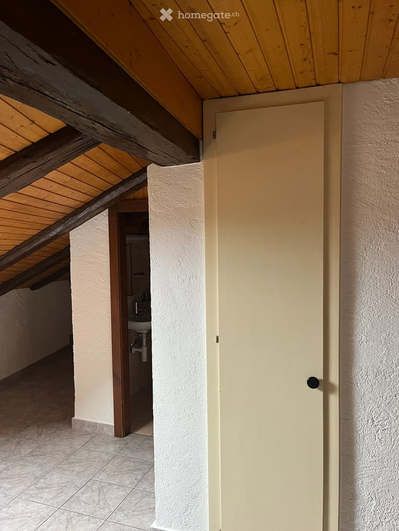 Appartement 1.5 pce au centre ville de Sion, mansardé, (5)